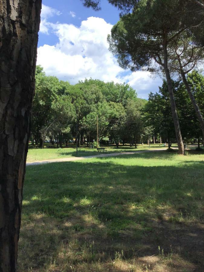Casalella Villa Viareggio Dış mekan fotoğraf